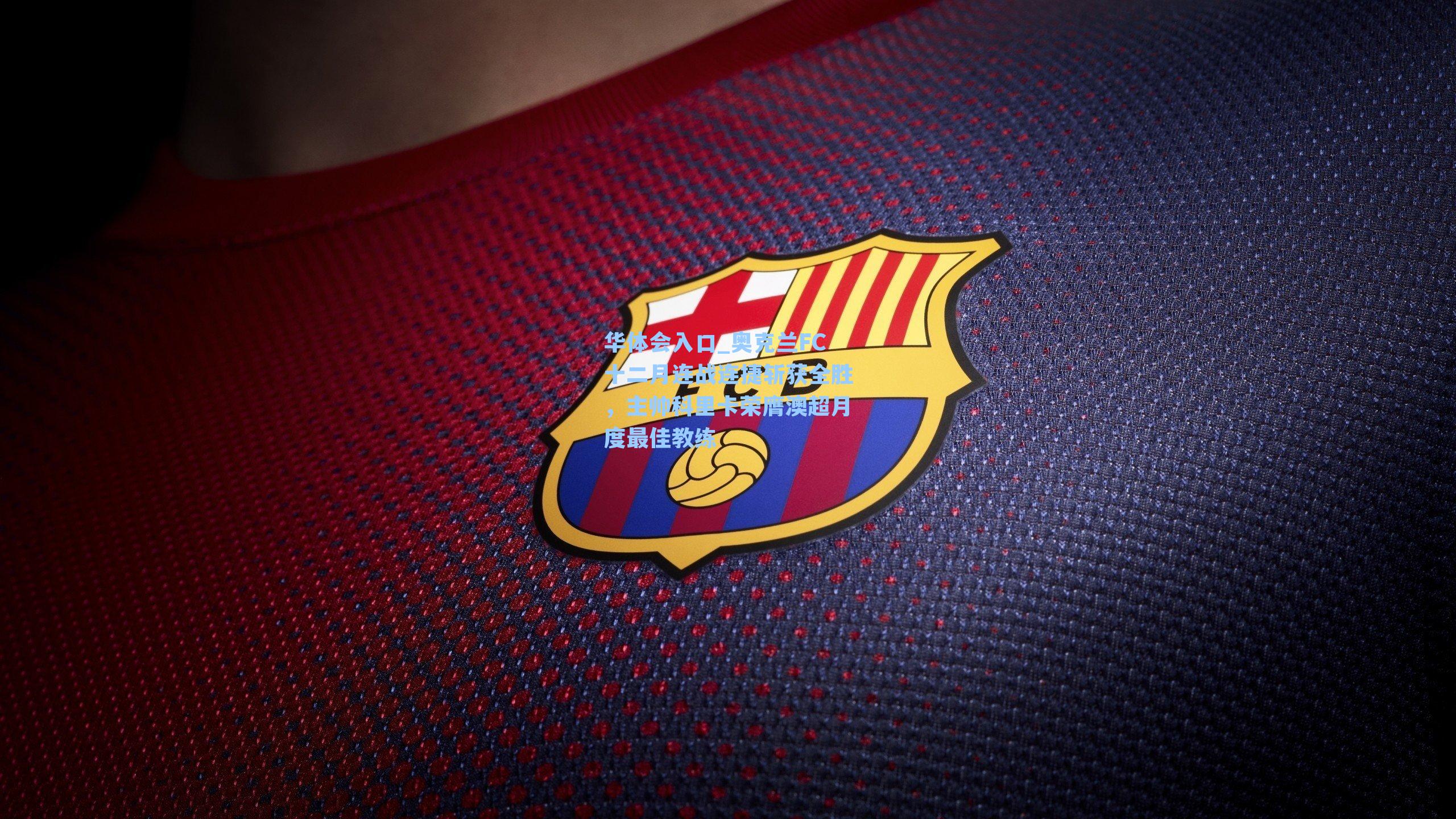 华体会入口_奥克兰FC十二月连战连捷斩获全胜，主帅科里卡荣膺澳超月度最佳教练