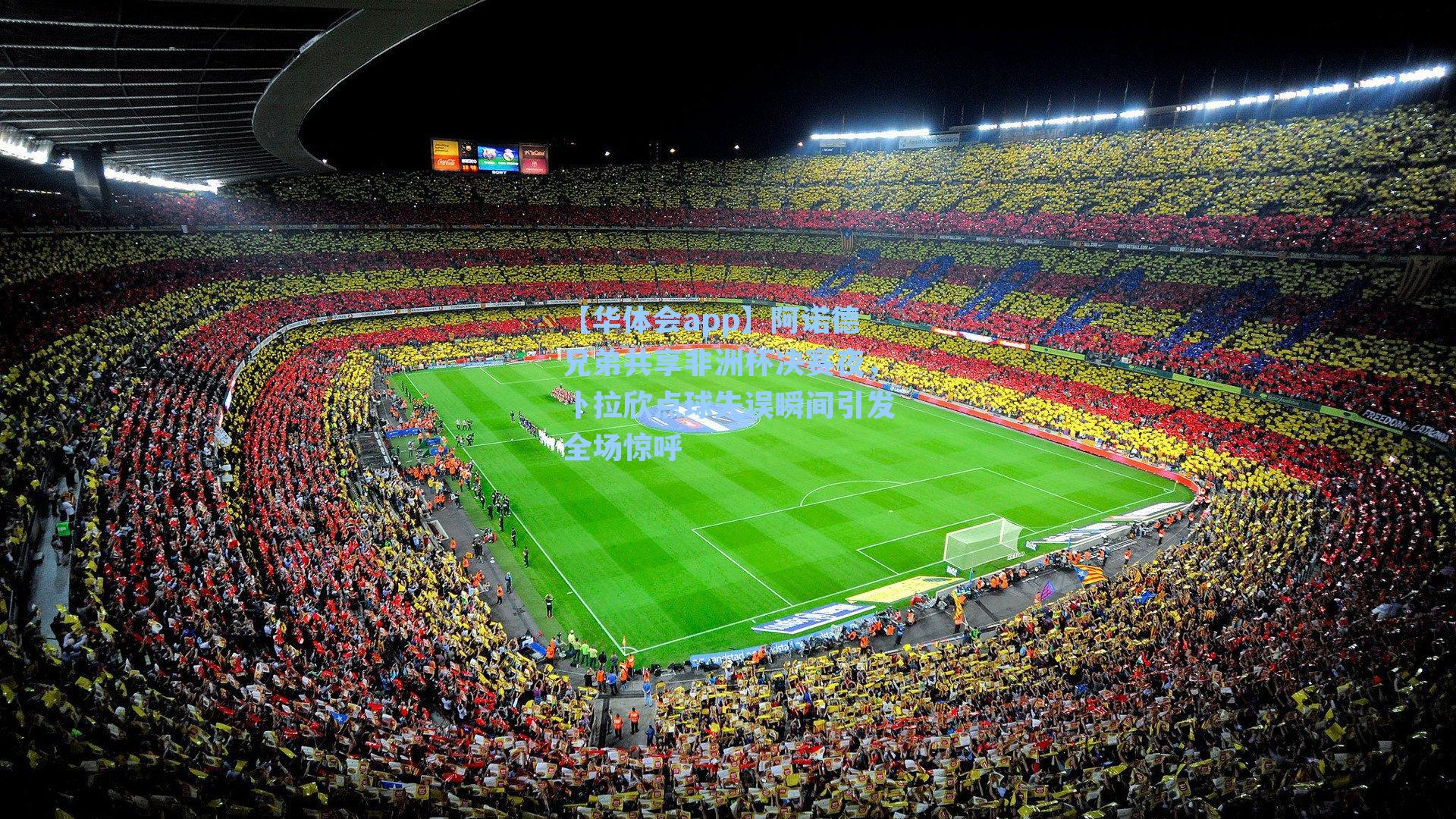 阿诺德兄弟共享非洲杯决赛夜，卜拉欣点球失误瞬间引发全场惊呼