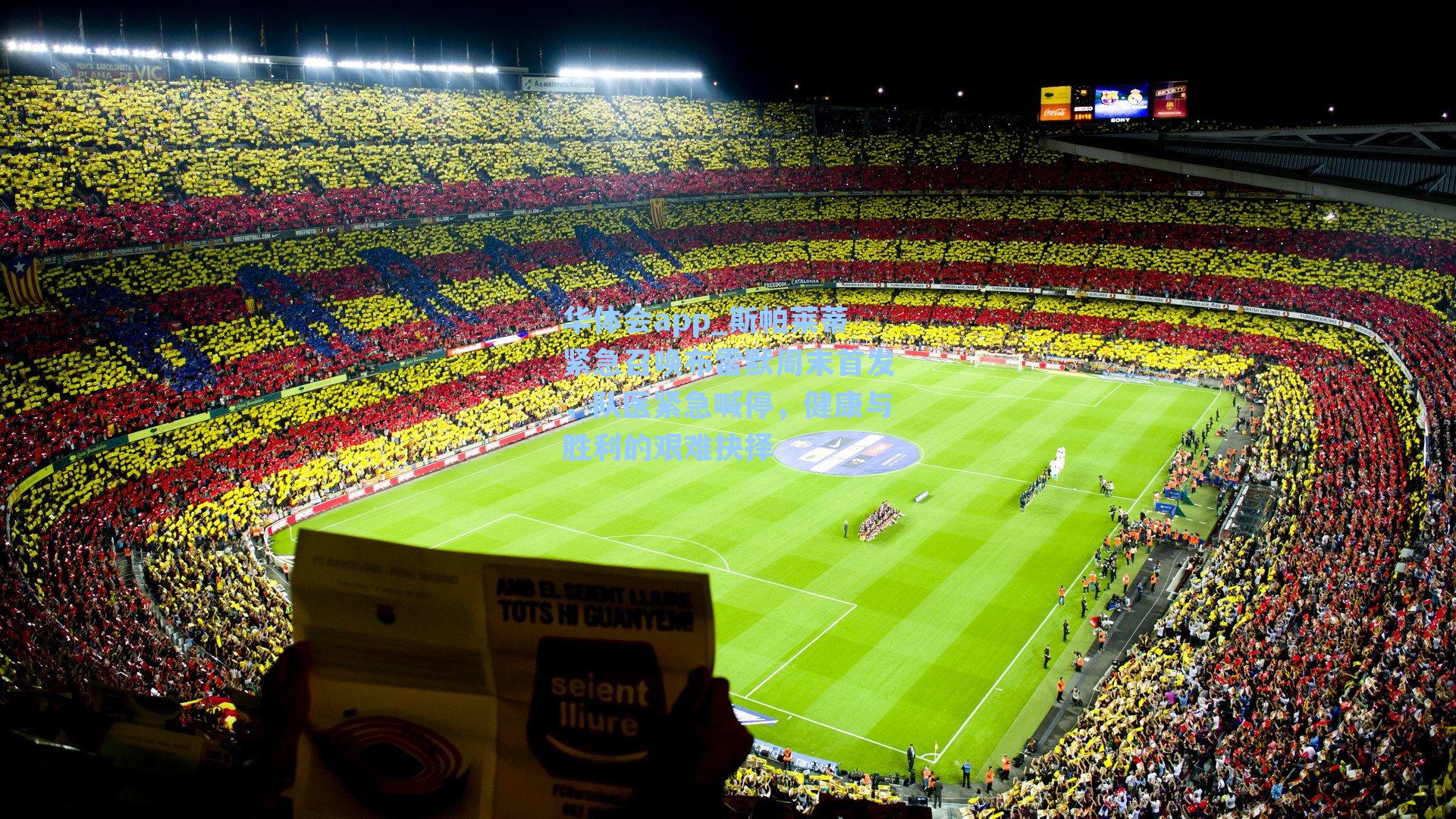 斯帕莱蒂紧急召唤布雷默周末首发，队医紧急喊停，健康与胜利的艰难抉择